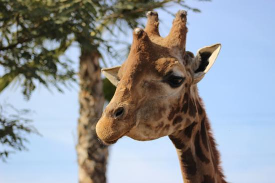 Terra Natura Murcia