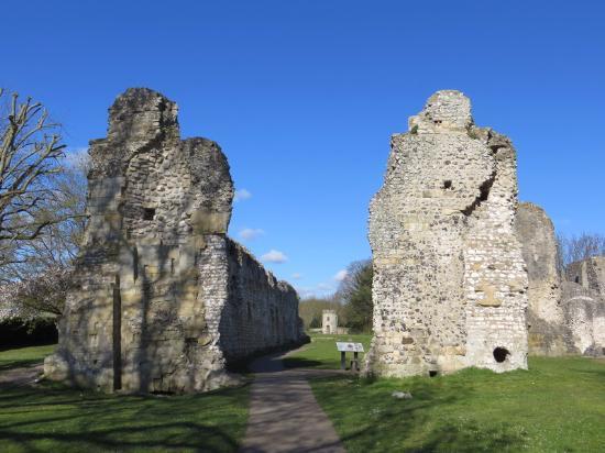 Priory Ruins