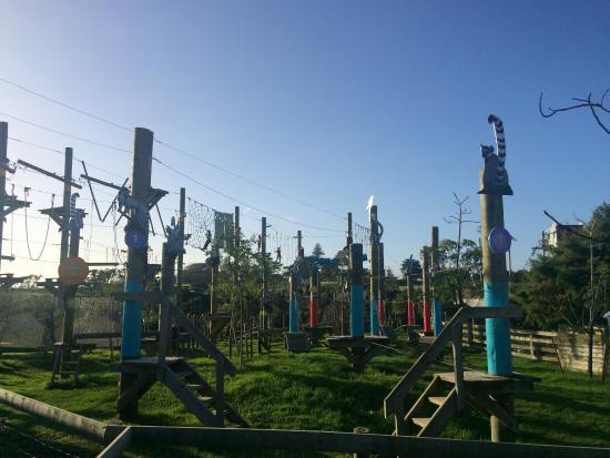 Rocket Ropes