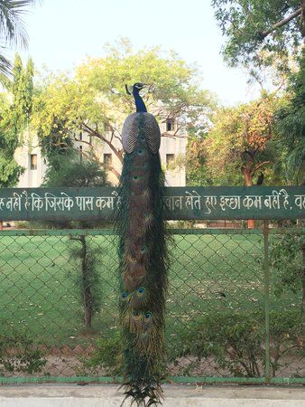 Gujrat Vidhyapeeth