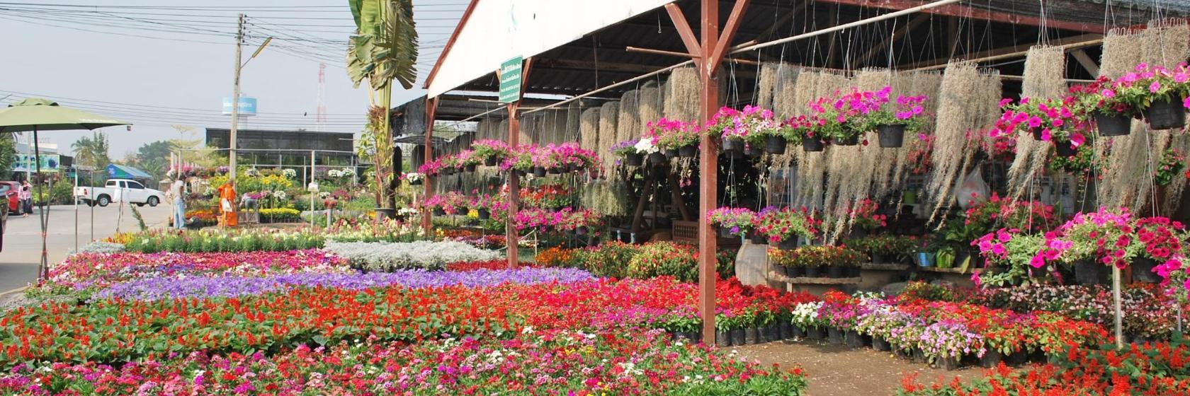 Kham Tiang Market
