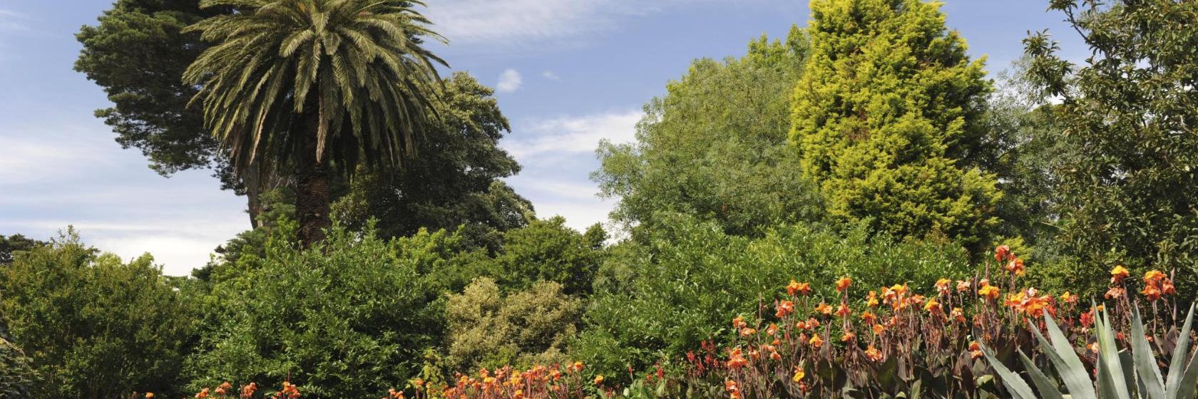 Taman Botani Diraja Melbourne