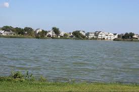Lake of the Lilies
