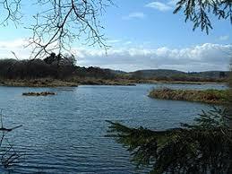Morton Lochs