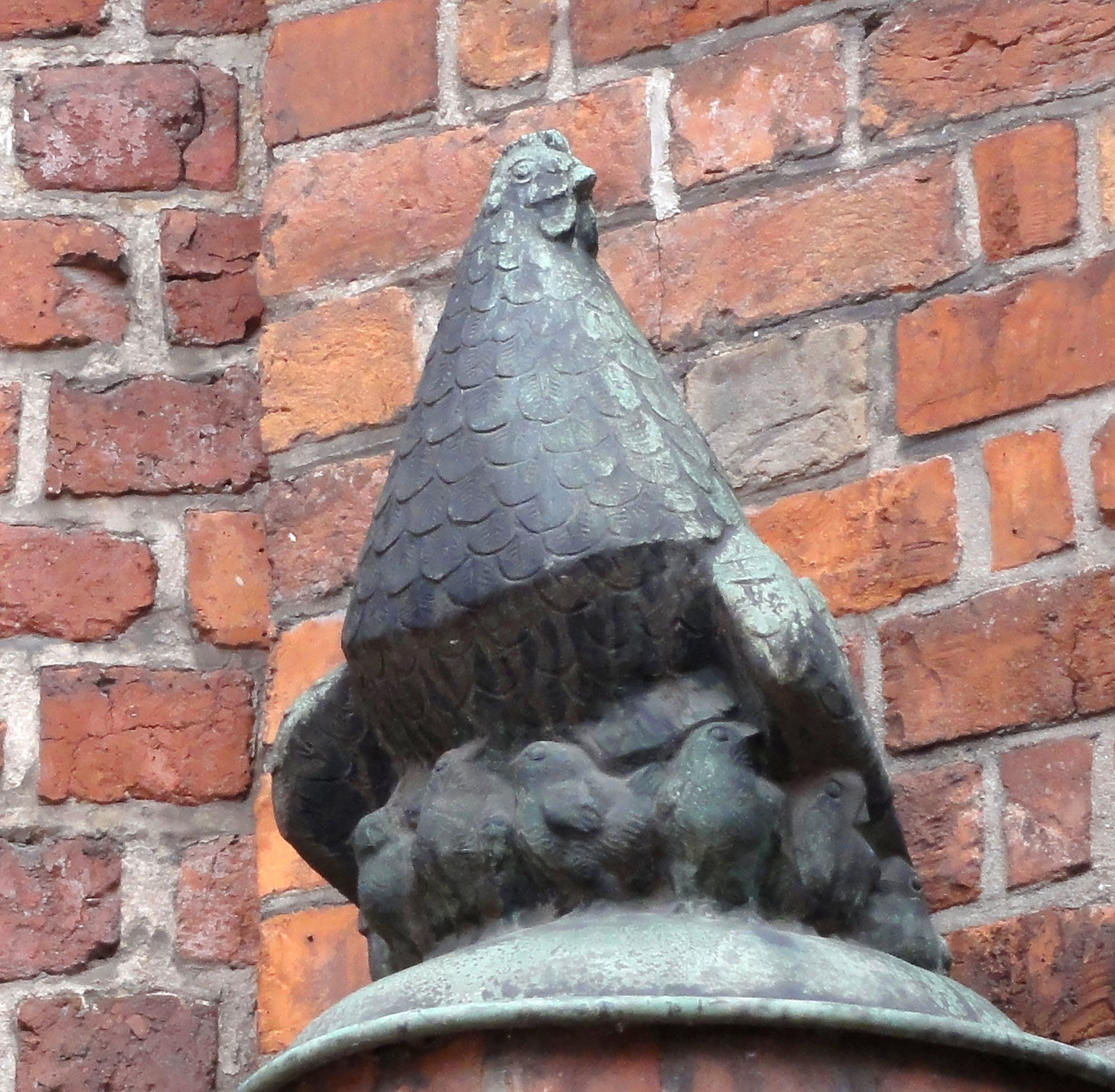 Die Gluckhenne