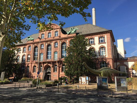 Senckenberg Müzesi