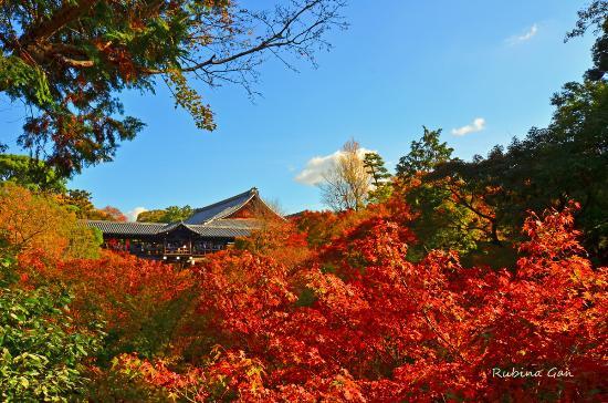 Kuil Tofuku-ji