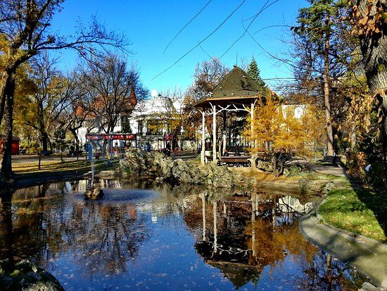 Parc Ion Voicu