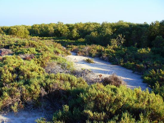Eastern Mangrove Lagoon National Park