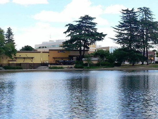Ellis Lake