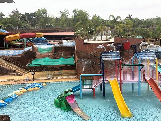 Froggyland