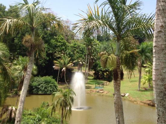 San Juan Botanical Garden